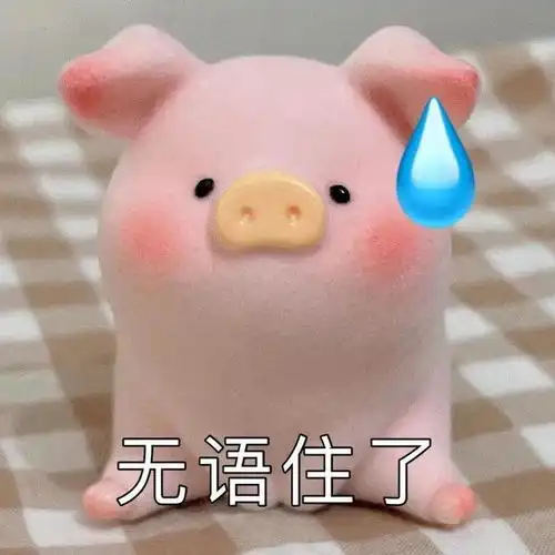 超可爱猪猪表情包
