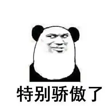 表情包或许这就是骄傲吧

