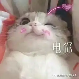 心上人
