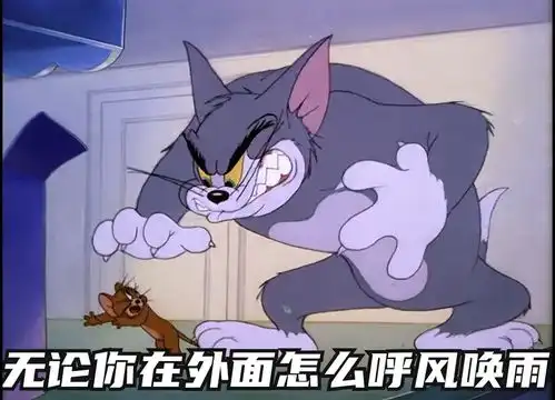 表情包你在外面怎么样到家猫和老鼠表情包搞笑视频经典段子情侣夫妻

