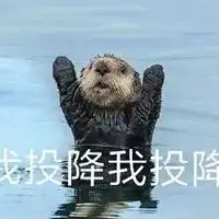 土拨鼠啊表情包
