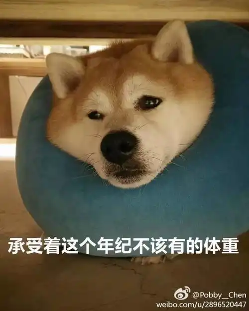 假如用一个表情包形容你的专业,美术生有没有躺枪
