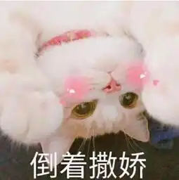 他们说十八岁要玩跳一跳

