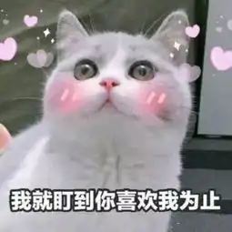 撩小哥哥用的表情包我混世大魔王,申请做你的小熊软糖

