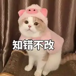 朋友圈点赞最多沙雕表情包
