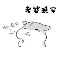 发给老婆的表情包合集老婆你说什么都是对的
