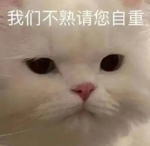 e句话看天下菜刀不能拍蒜还能指望它做菜
