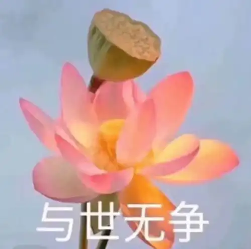爸妈能有什么坏心思呢

