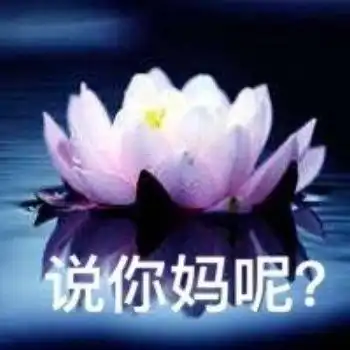 沙雕表情包好运莲莲
