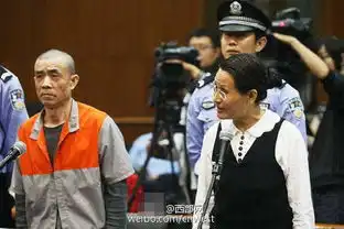 盗文物受审表情亮了王如涉盗窃季羡林古籍文物案始末
