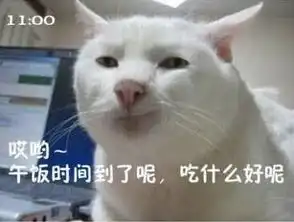 看萌猫演绎屌丝们欢乐的一天
