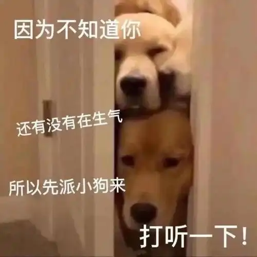起床搬砖表情包2022.12.2
