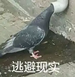 考研解惑早上起不来,起来又犯困怎么办
