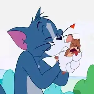 因为天气刚好,因为每一天都很美好
