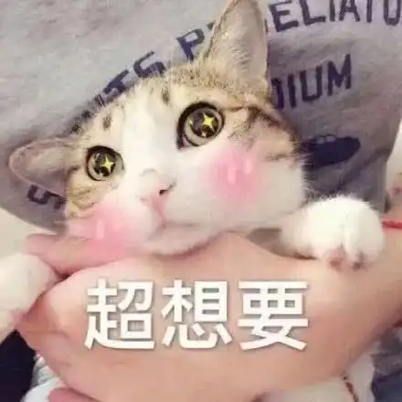 10元硬币来了9月3日发行,每人只限20枚,快看长啥样...
