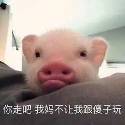 改名麻烦吗吗各位
