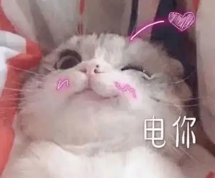 英雄老爸粽江湖,这次过节我要与粽不同
