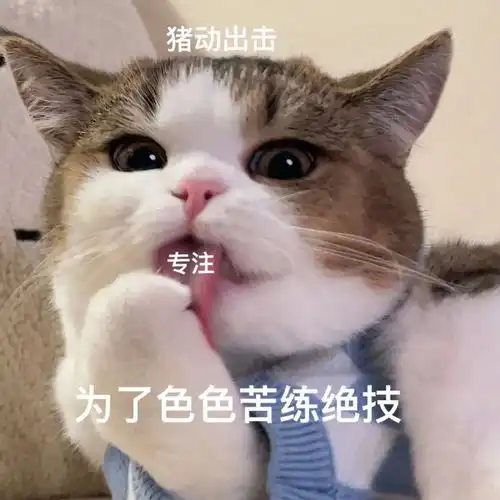 色色表情包
