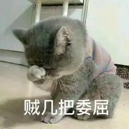 猫咪委屈表情包合集
