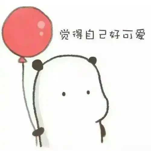你放飞团团友谊的和平鸽了吗
