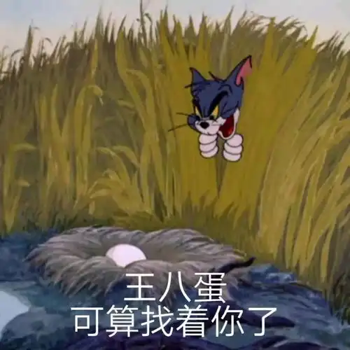 表情包人聊天必备沙雕表情包不沙雕你顺着网线来打我猫和老鼠专栏万能回复表

