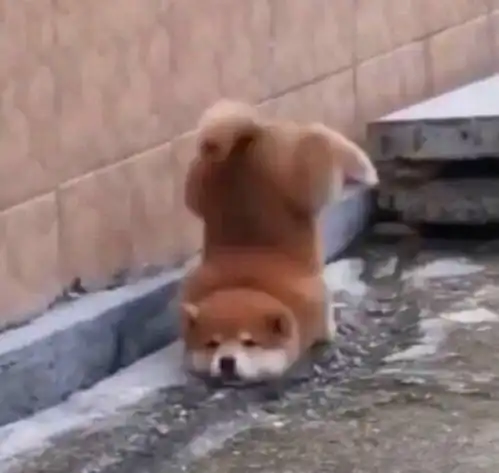 想换工作的进来聊聊叭
