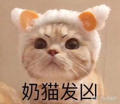 一些比较喜欢的表情包