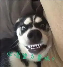 震惊最近全校怎么都在干这个事儿
