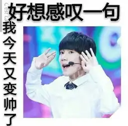 tfboys的表情包带字的图片有哪些
