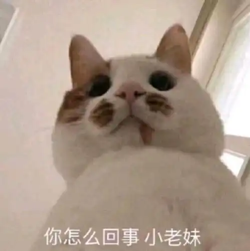 可爱搞笑的沙雕最新热门表情包图片
