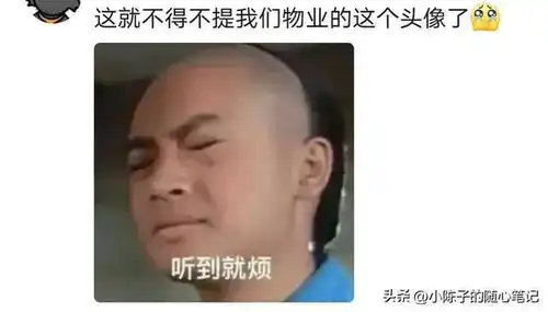原来职场中头像真的很重要网友分享一个比一个有内涵

