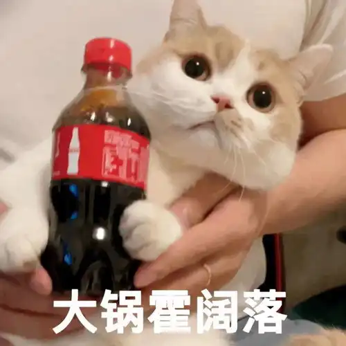 日常斗图专用表情包
