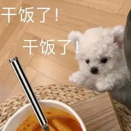 能不能分享一下你们喜欢的表情包