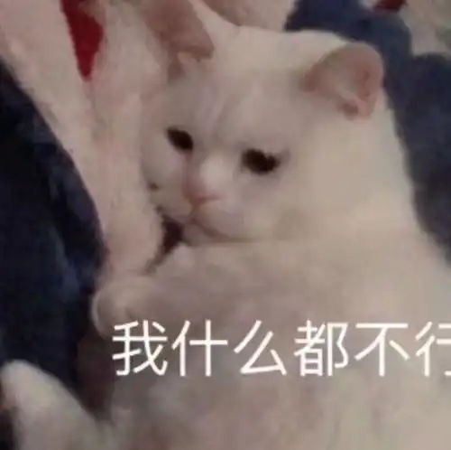 摩多摩多
