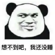 熊猫头熬夜修仙表情包原来你说的早点睡,是吃了早点再睡
