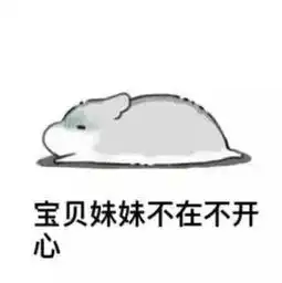 仓鼠日常表情包兄妹版下载仓鼠兄妹日常表情包无水印版下载飞翔下载
