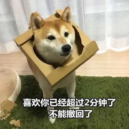 见证一下,影视剧中的七大舔狗,道路干万条,舔完泪两行穿山甲