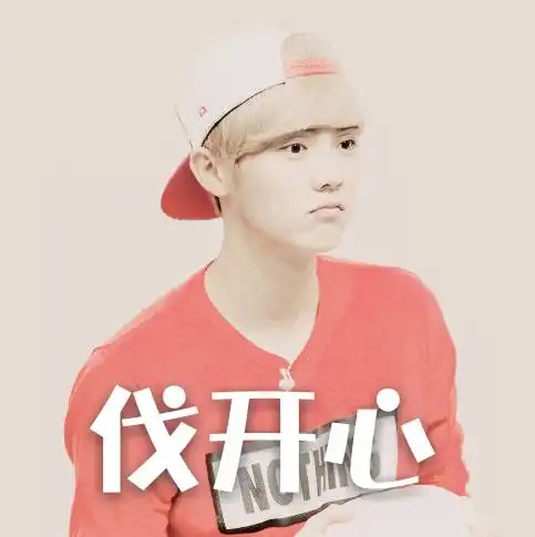 鹿晗表情包带字动态
