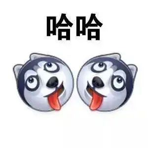 两只网红狗的离世
