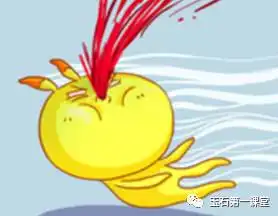 翡翠公盘现1亿多标王又要涨涨涨
