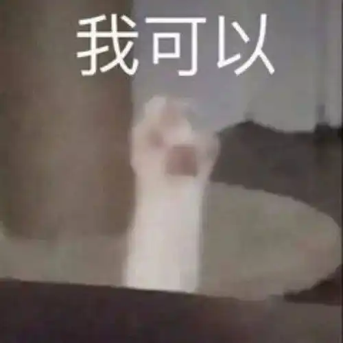 表情包丨我就是爱生气,你管得着吗
