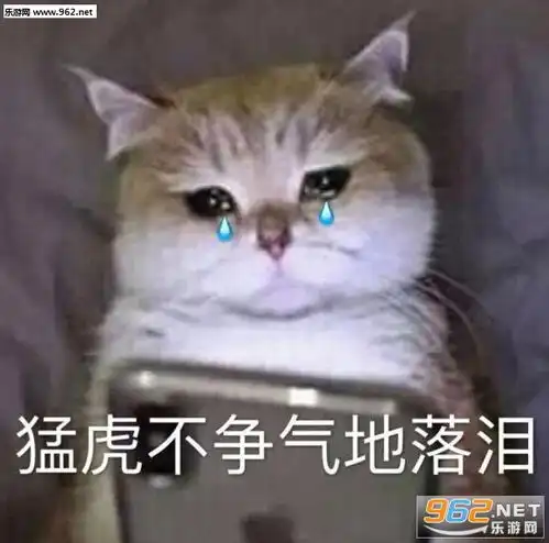 今天很可爱的斗图图片笑脸微笑裂开表情包下载乐游网游戏下载
