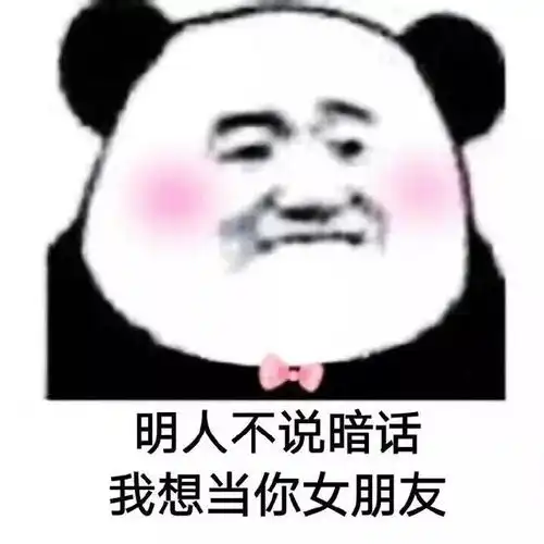 表情包晚安,我已经安排了,会有蚊子替我亲你
