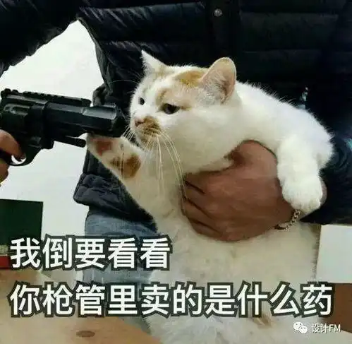 有答案了为什么大牌们最近偏爱这些二次元广告海报
