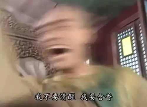苏有朋把自己玩坏了
