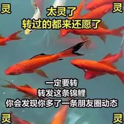 你的托福五刷还不如人家首刷该好好想想了

