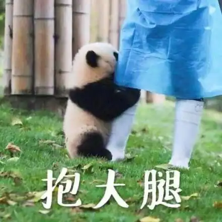 医生的昵称有多好笑修枪匠人根雕师是想笑死我继承我的花呗吗哈哈哈哈
