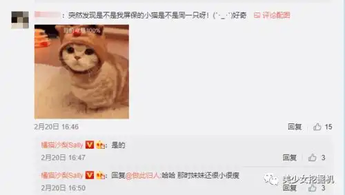 头像表情包大户,全网萌宠顶流,每天都有百万明星粉丝催更
