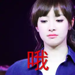 我要宋茜的表情包

