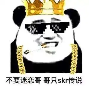 抖音超火skr表情包大全
